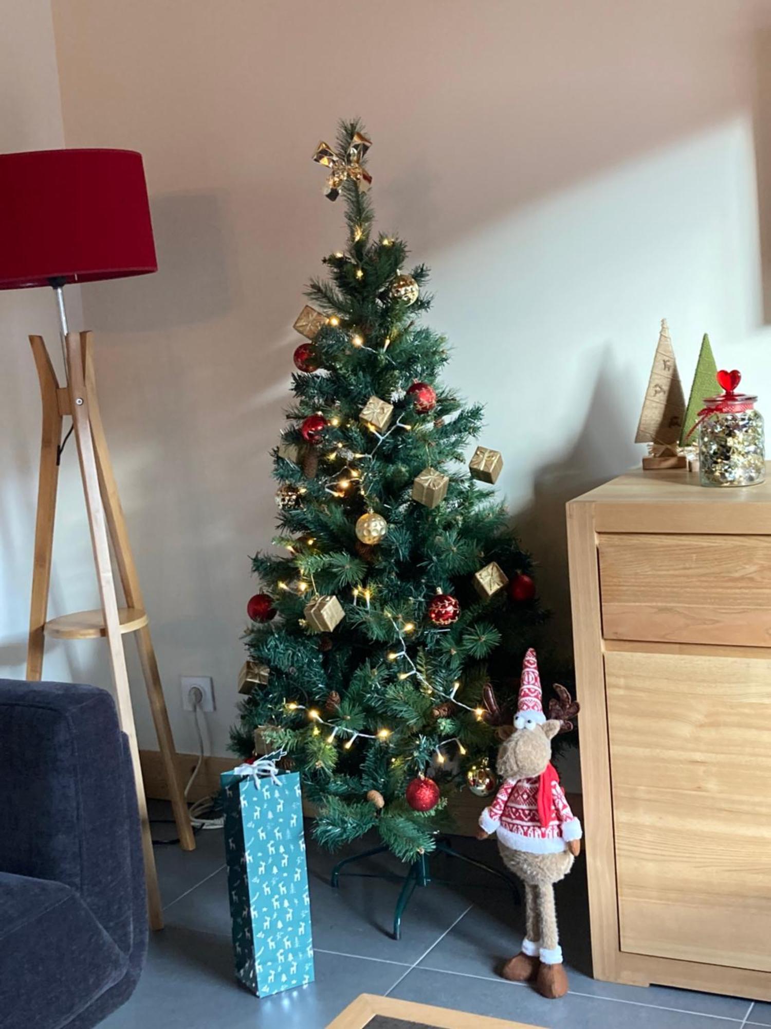 Appartement Reve De Montagne 사모엥 외부 사진